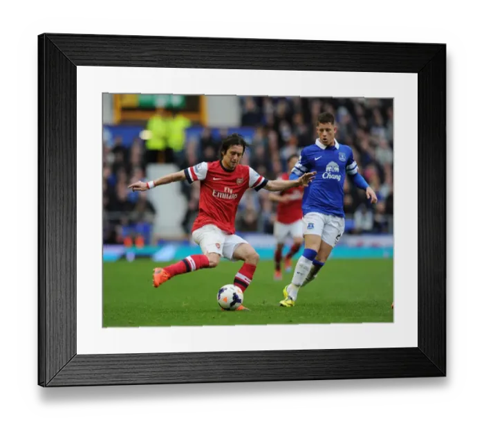 Framed Print : Arsenal's Rosicky Outmaneuvers Everton's Barkley in Premier League Clash Framed Print : Arsenal's Rosicky Outmaneuvers Everton's Barkley in Premier League Clash