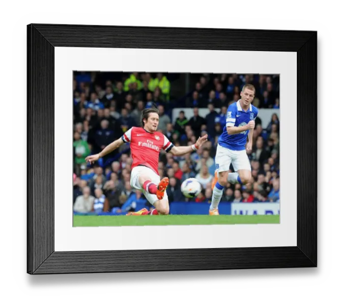 Framed Print : Clash at Goodison Park: Rosicky vs McCarthy in Premier League Battle Framed Print : Clash at Goodison Park: Rosicky vs McCarthy in Premier League Battle