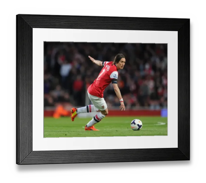 Framed Print : Tomas Rosicky (Arsenal). Arsenal 3: 1 West Ham United. Barclays Premier League. Emirates Stadium Framed Print : Tomas Rosicky (Arsenal). Arsenal 3: 1 West Ham United. Barclays Premier League. Emirates Stadium