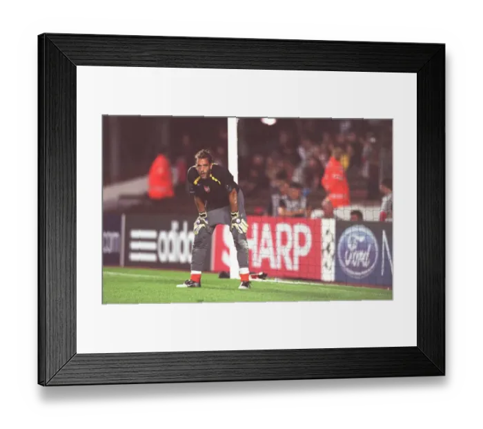 Framed Print : Arsenal FC vs FC Thun: 2005-06 Season Match Framed Print : Arsenal FC vs FC Thun: 2005-06 Season Match