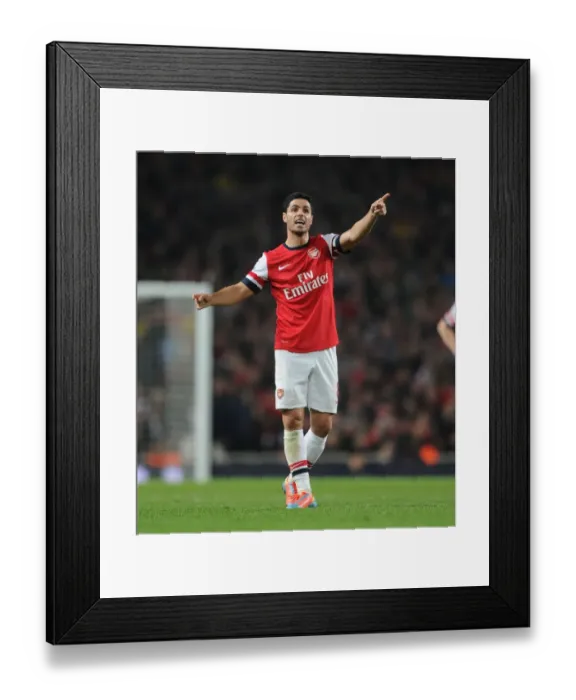 Framed Print : Mikel Arteta Focused: Arsenal vs Newcastle United, Premier League 2013 / 14 Framed Print : Mikel Arteta Focused: Arsenal vs Newcastle United, Premier League 2013 / 14
