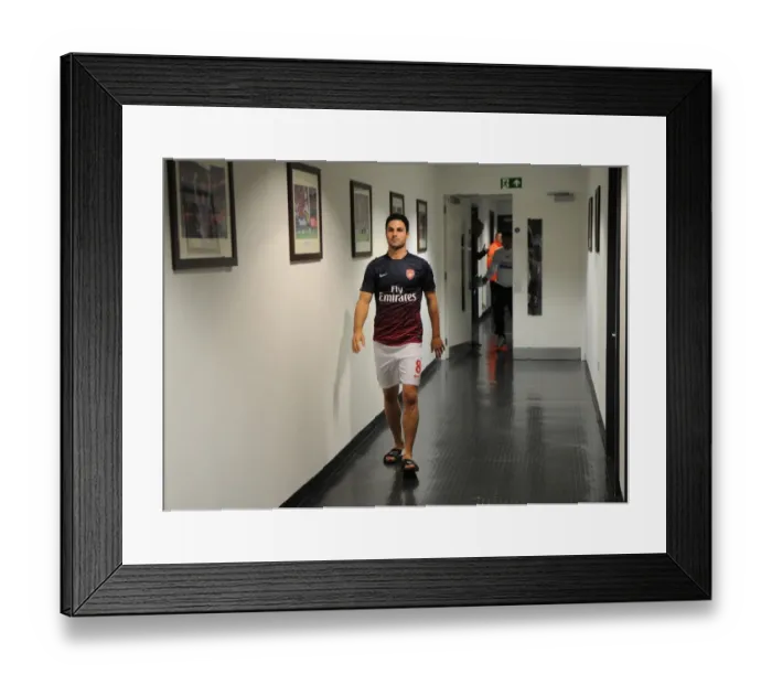 Framed Print : Arsenal v Newcastle United - Premier League Framed Print : Arsenal v Newcastle United - Premier League