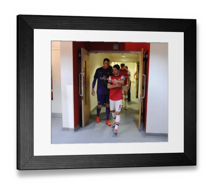 Framed Print : Mikel Arteta (Arsenal). Arsenal 2: 0 Newcastle United. Barclays Premier League. Emirates Stadium Framed Print : Mikel Arteta (Arsenal). Arsenal 2: 0 Newcastle United. Barclays Premier League. Emirates Stadium