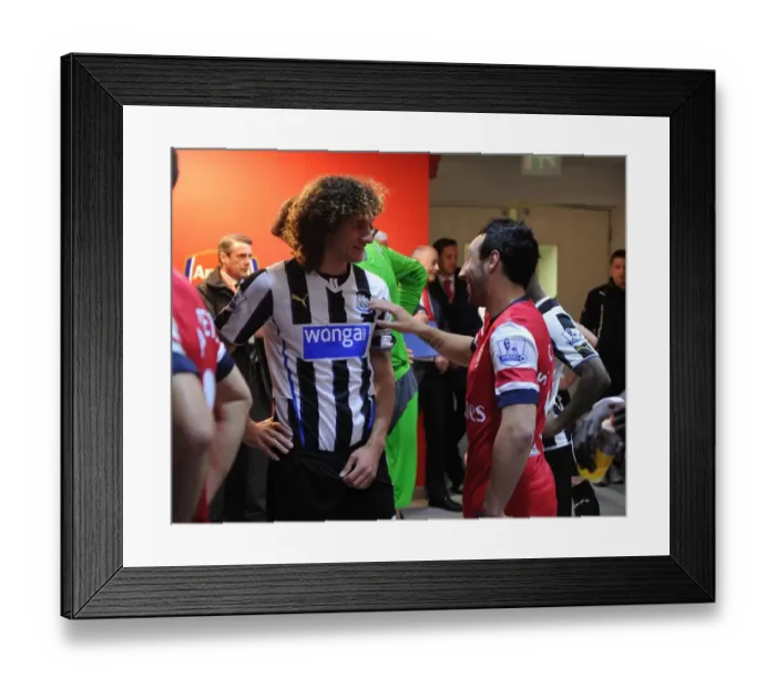 Framed Print : Santi Cazorla (Arsenal) Fabricio Coloccini (Newcastle). Arsenal 2: 0 Newcastle United Framed Print : Santi Cazorla (Arsenal) Fabricio Coloccini (Newcastle). Arsenal 2: 0 Newcastle United