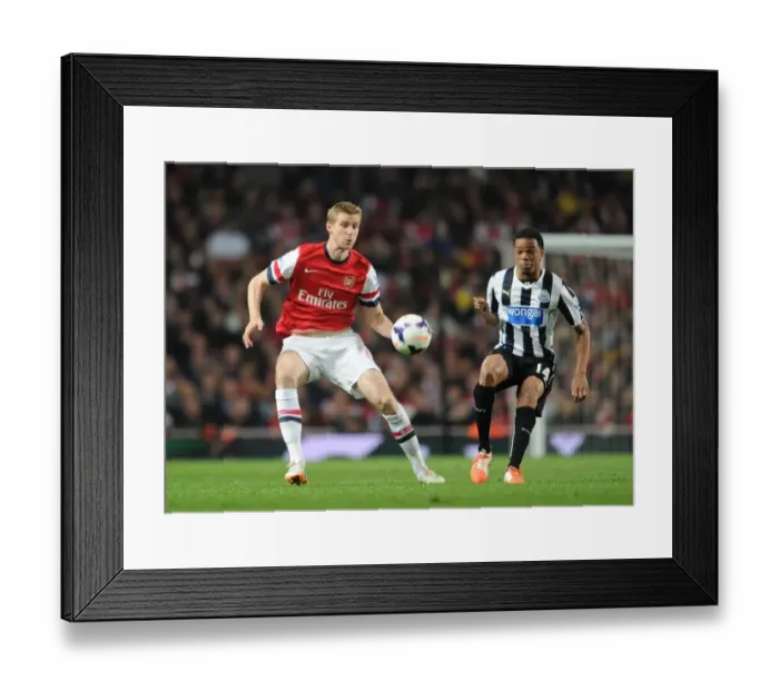 Framed Print : Per Mertesacker (Arsenal) Loic Remy (Newcastle). Arsenal 2: 0 Newcastle United. Barclays Framed Print : Per Mertesacker (Arsenal) Loic Remy (Newcastle). Arsenal 2: 0 Newcastle United. Barclays