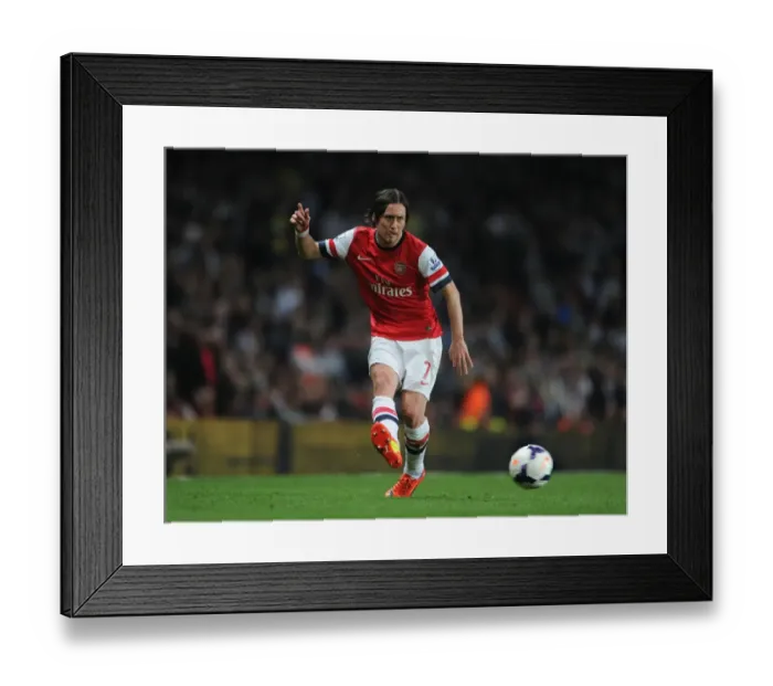 Framed Print : Arsenal's Rosicky Shines in Action-Packed Arsenal v Newcastle United Premier League Clash