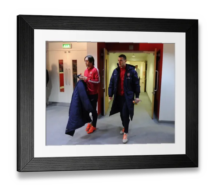 Framed Print : Tomas Rosicky and Thomas Vermaelen (Arsenal). Arsenal 2: 0 Newcastle United. Barclays Premier League Framed Print : Tomas Rosicky and Thomas Vermaelen (Arsenal). Arsenal 2: 0 Newcastle United. Barclays Premier League