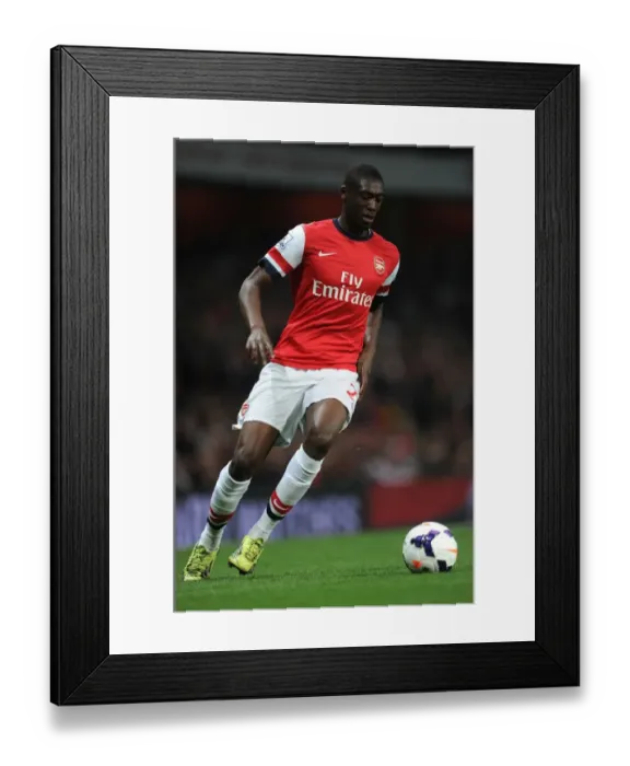 Framed Print : Yaya Sanogo in Action: Arsenal vs Newcastle United, Premier League 2013-2014 Framed Print : Yaya Sanogo in Action: Arsenal vs Newcastle United, Premier League 2013-2014