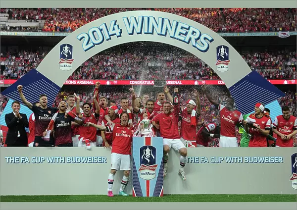 Arsenal FC Triumphs in the FA Cup: Arsenal vs. Hull City, 2014