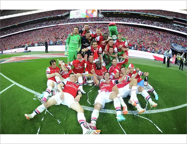 Arsenal FC's Glorious FA Cup Victory over Hull City (2014)