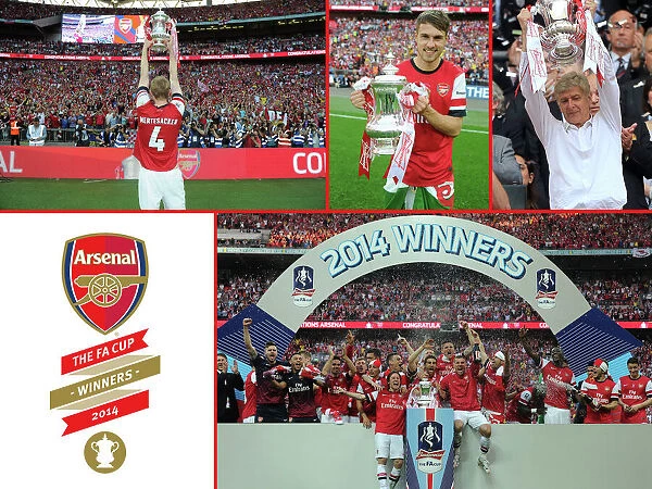 2014 FA Cup Final Winners Montage