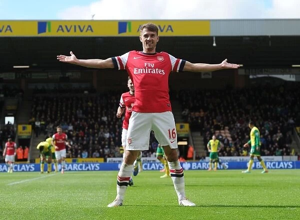 Aaron Ramsey's Euphoric Goal Celebration: Norwich City vs. Arsenal, Premier League 2013-14