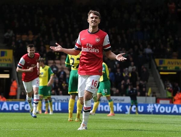Aaron Ramsey's Goal Celebration: Norwich City vs. Arsenal, Premier League 2013-14