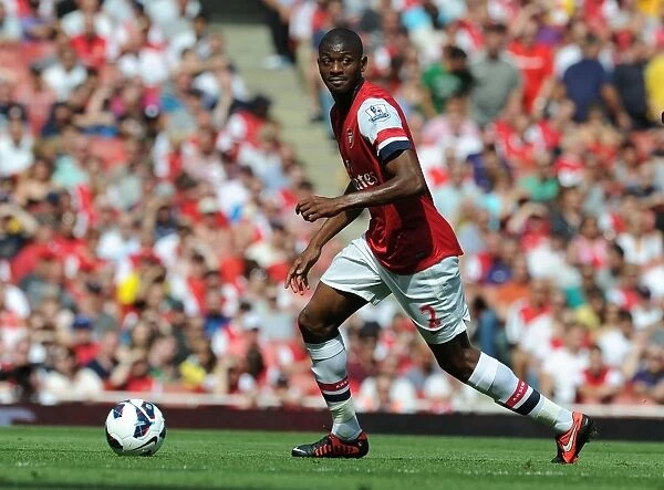 Abou Diaby in Action: Arsenal vs. Sunderland, Premier League 2012-13
