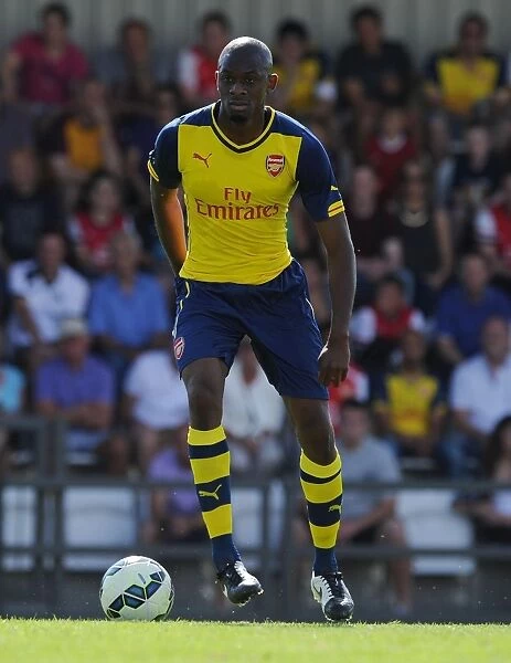 Abou Diaby in Action: Arsenal's Pre-Season Clash against Boreham Wood