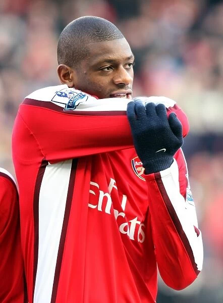 Abou Diaby's Goal: Arsenal's 1-0 Win Over Portsmouth in the Barclays Premier League (December 28, 2008)