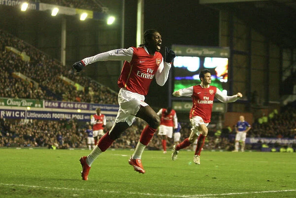 Adebayor's Triumph: Arsenal's Thrilling 3-1 Victory Over Everton in the Barclays Premier League, 2007