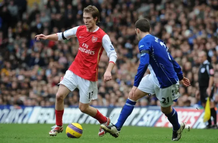 Framed Print : Alex Hleb (Arsenal) Stuart Parnaby (Birmingham City) Framed Print : Alex Hleb (Arsenal) Stuart Parnaby (Birmingham City)