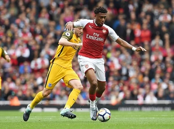 Alex Iwobi in Action: Arsenal vs Brighton & Hove Albion, Premier League 2017-18