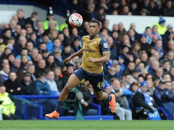 Alex Iwobi: In Action Against Everton in the Premier League 2015-16
