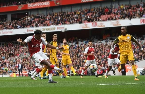 Alex Iwobi Scores Arsenal's Second Goal Against Brighton & Hove Albion (2017-18)