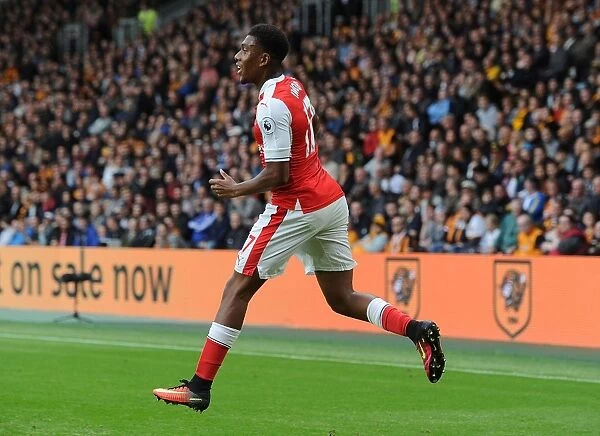 Alex Iwobi's Game-Winning Goal: Arsenal's Triumph Over Hull City (2016-17)
