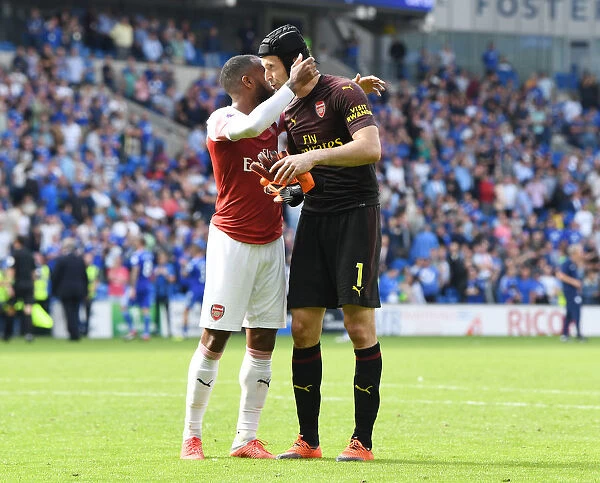 Alex Lacazette and Petr Cech Celebrate Arsenal's Victory over Cardiff City