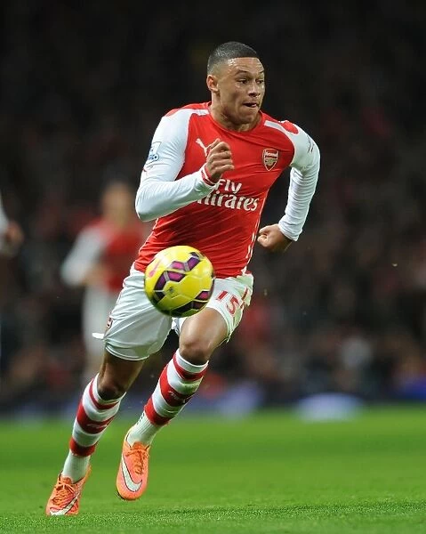 Alex Oxlade-Chamberlain in Action for Arsenal against Manchester United, Premier League 2014-15