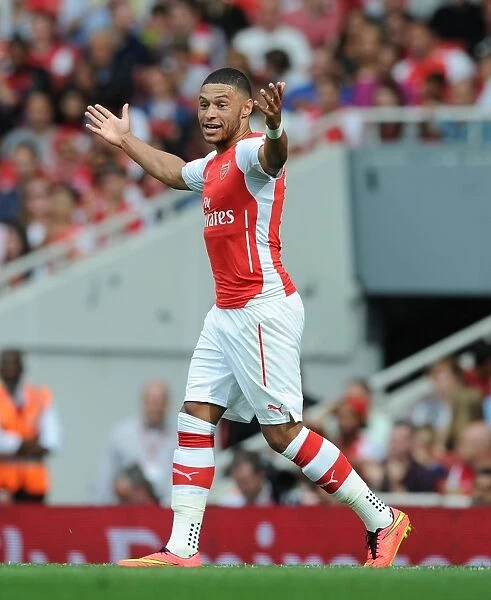 Alex Oxlade-Chamberlain in Action for Arsenal vs Benfica, Emirates Cup 2014