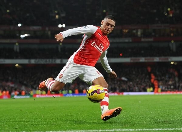 Alex Oxlade-Chamberlain in Action: Arsenal vs Manchester United, Premier League 2014-15