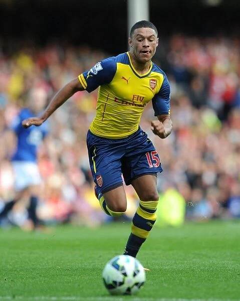 Alex Oxlade-Chamberlain: In Action against Everton, Premier League 2014 / 15