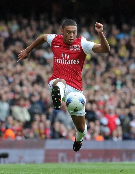 Alex Oxlade-Chamberlain: Arsenal Star in Action Against Norwich City, Premier League 2011-12