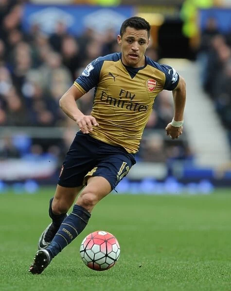 Alexis Sanchez: Arsenal Star in Action Against Everton, Premier League 2015-16