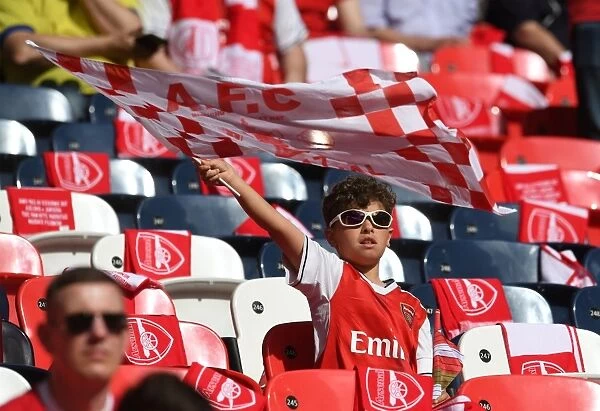 Arsenal FA Cup Final: A Young Fan's Anticipation