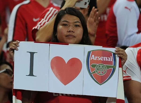 Arsenal Fan in the Thick of It: Arsenal vs. Singapore XI, Barclays Asia Trophy, Kallang, Singapore (July 2015)