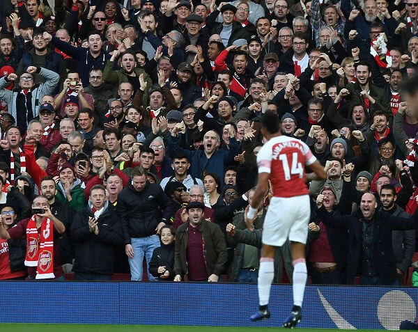 Arsenal Fans Celebrate Aubameyang's Goal Against Tottenham (2018-19)