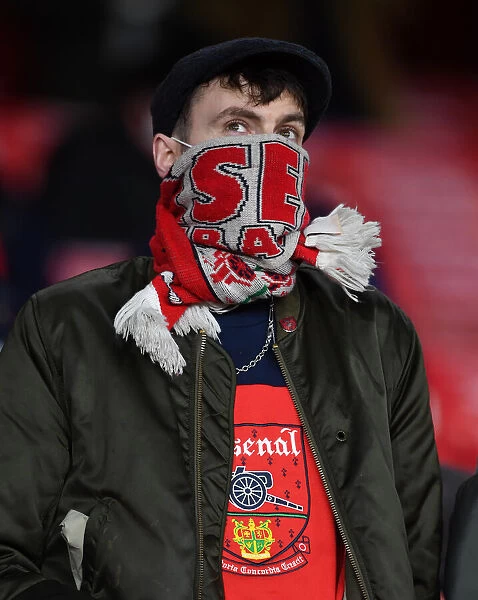 Arsenal Fans Unwavering Passion: Arsenal vs Burnley, Premier League, Emirates Stadium