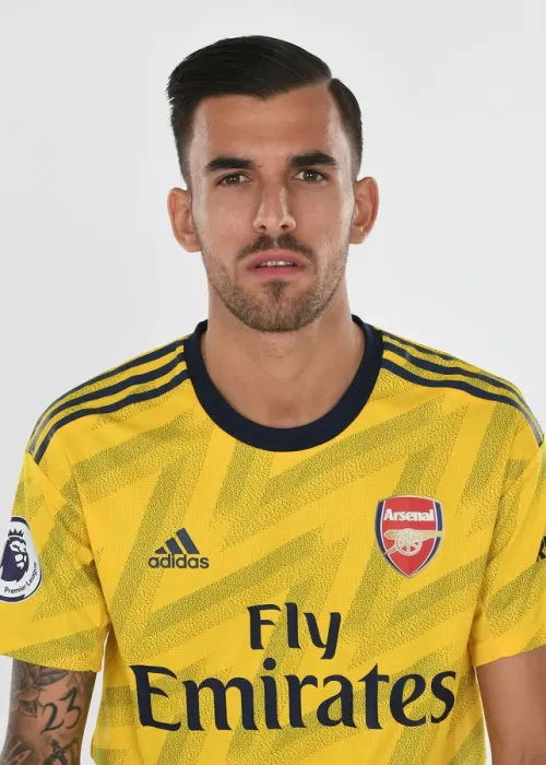 Framed Print : Arsenal FC: Dani Ceballos at Pre-Season Training (2019-20) Framed Print : Arsenal FC: Dani Ceballos at Pre-Season Training (2019-20)