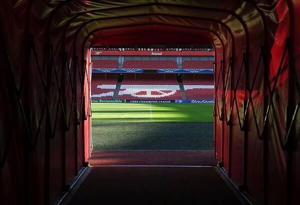 Arsenal FC vs RSC Anderlecht: Players Tunnel, Emirates Stadium (2014 / 15 UEFA Champions League)