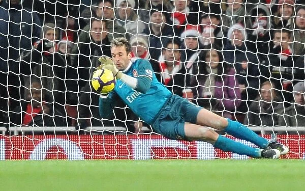 Arsenal goalkeeper Manuel Almunia saves the Hull penalty taken by Geovanni
