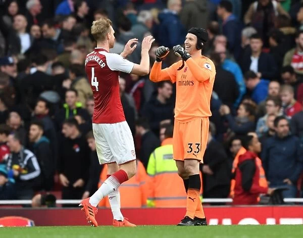 Arsenal: Mertesacker and Cech Celebrate Victory Over Swansea City