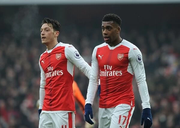 Arsenal: Ozil and Iwobi in Action against Hull City, Premier League 2016-17