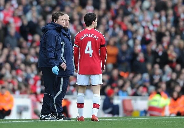 Arsenal physio Colin Lewin talks to captain Cesc Fabregas during the match