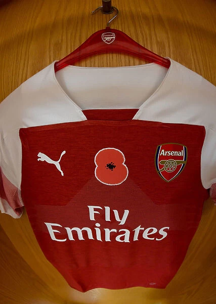 Arsenal Players Donning Poppy-Embellished Jerseys in the Changing Room before Arsenal vs. Wolverhampton Wanderers (2018-19)
