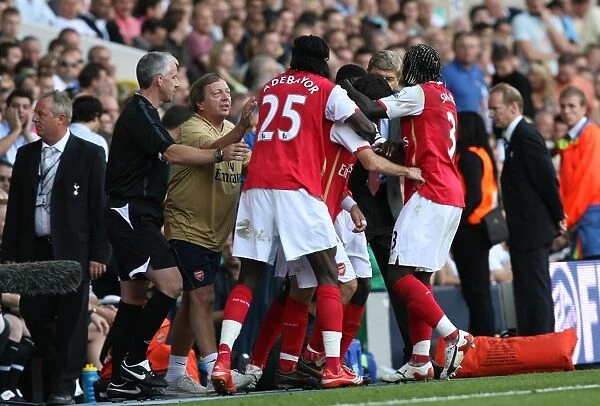 The Arsenal players and staff celebrate the 2nd Arsenal goal, scored by Cesc Fabregas