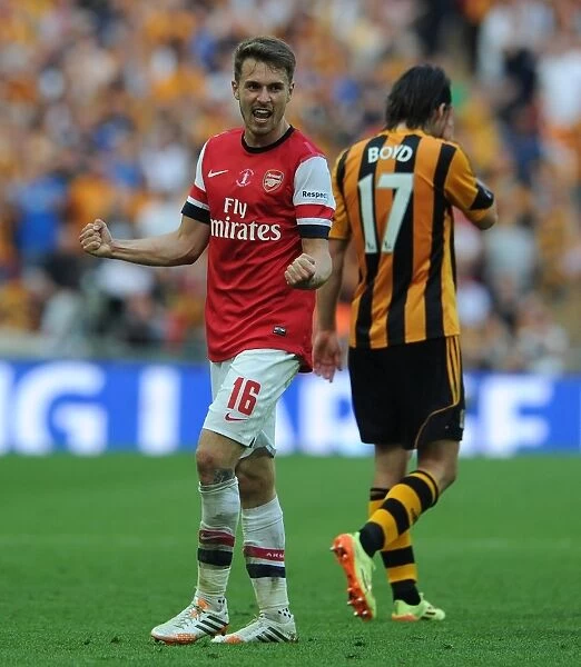 Arsenal Rejoices FA Cup Triumph: Arsenal vs. Hull City, 2014