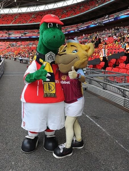 Arsenal vs. Aston Villa: FA Cup Final Showdown - Mascots Face Off