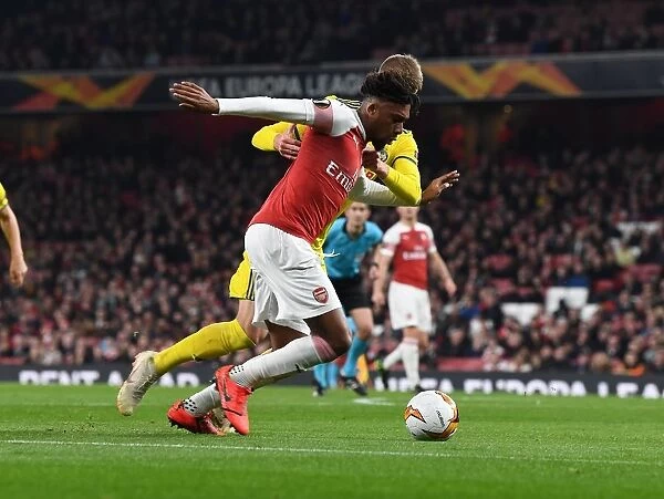 Arsenal vs BATE Borisov: Alex Iwobi in Action - UEFA Europa League 2018-19 Round of 32, Second Leg