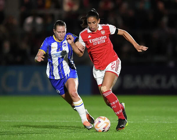 Arsenal vs. Brighton: Women's Super League Clash at Meadow Park
