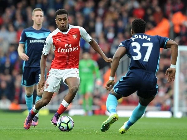 Arsenal vs. Middlesbrough: Iwobi Takes on Forshaw in Premier League Clash (2016-17)